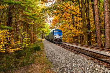 train in the autum forest