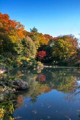 有栖川公園の紅葉