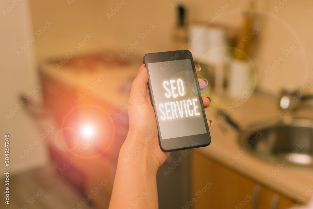 Poster conceptual hand writing showing seo service. concept meaning suite of techniques and procedures to s