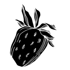 Vector strawberry fresh berry healthy food. Black and white engraved ink art. Isolated strawberry illustration element.