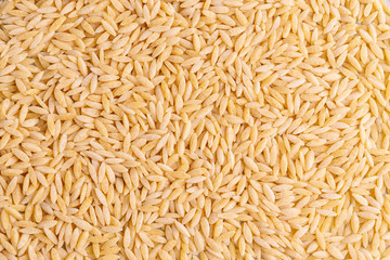 Orzo pasta, isolated on white background. Italian orzo pasta shaped like grains of rice, copy space, soft light