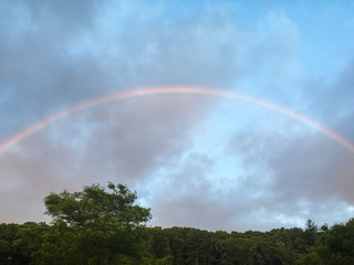 Naklejka premium Rainbow