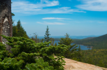 Fototapeta premium Landscape in Acaida National Park, Maine, USA