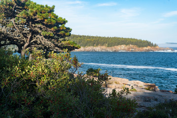 Fototapeta na wymiar Natural landscape and seascape in Acadia National Park, Maine, USA
