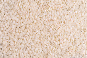 Italian Risotto rice on white background. Copy Space. Soft light. Latin term 