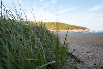 Sand Beach in Acadia National Park