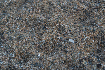 Sand texture