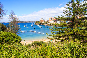 View of the beach and harbour, Little Manly