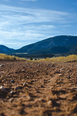 A long view from down on the dirt road in the open range. 
