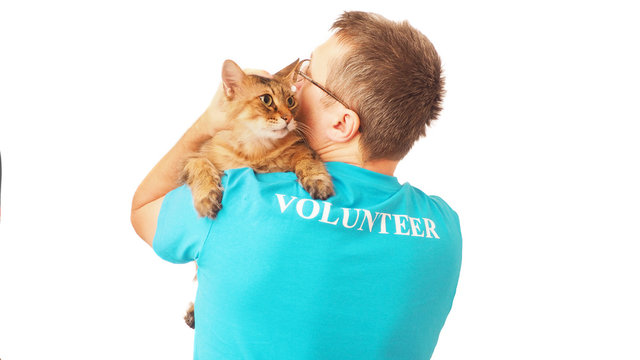 Volunteer stroking homeless cat. Charity concept.