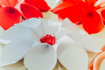 cardboard assembling decoration of a large flower-shaped origami paper for decoration
