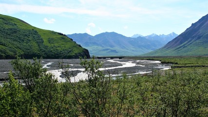 A river in Denali