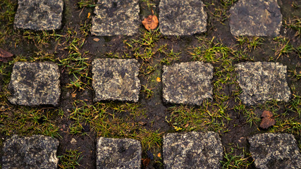 stone wall with moss
