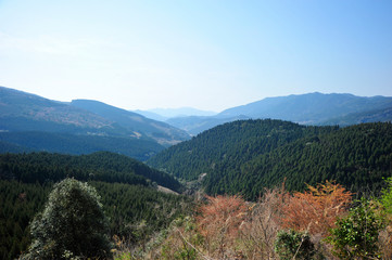 Fototapeta na wymiar 北郷町の山系