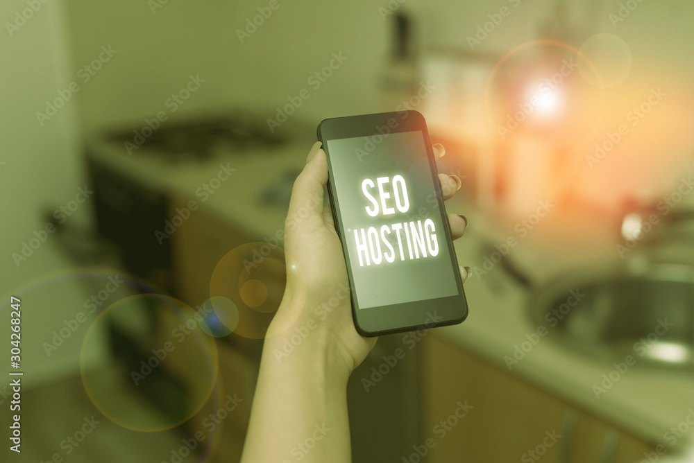 Poster conceptual hand writing showing seo hosting. concept meaning building website in a way that is frien