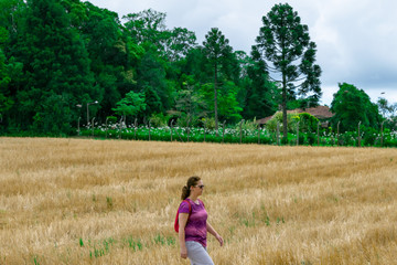 Naklejka na ściany i meble A woman walking in a plantation field on an amazing agricultural landscape with a dramatic sky near Curitiba, Parana, Brazil.