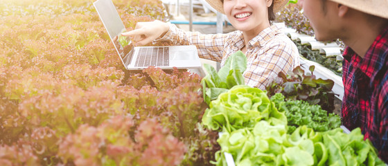 Vegetable farm employees are checking the data from the computer instructions online.