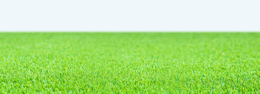 closeup green artificial grass on white background