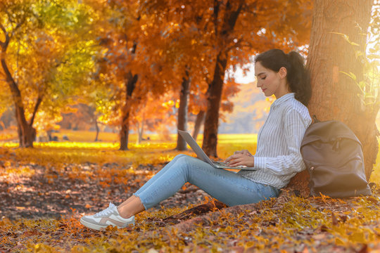caucasian prety young woman working with laptop computer under tree in park during autumn season