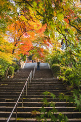 Fototapeta na wymiar 日本の紅葉を見に行こう