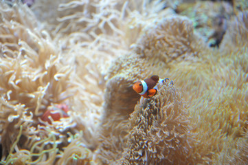 水族館