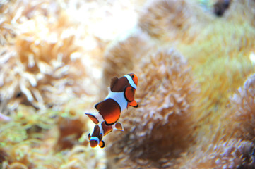 水族館