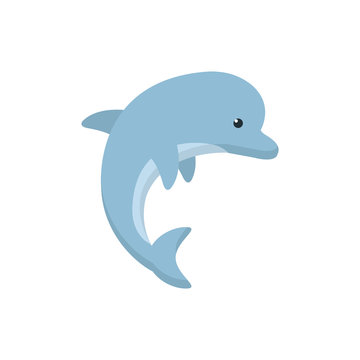 Isolated sea dolphin vector design