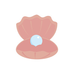 Isolated sea shelf vector design