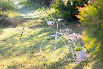 bicycle model in the garden