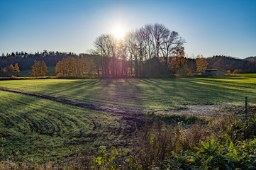朝陽に照らされた秋の北海道の大地。