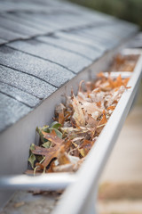 Shallow DOF clogged gutter near roof shingles of residential house full of dried leaves