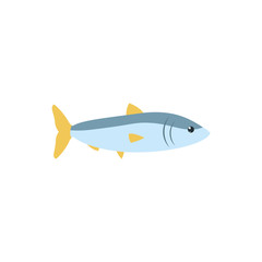 Isolated sea fish vector design