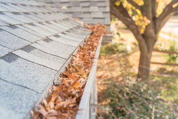 Clogged gutter at front yard near roof shingles of residential house full of dried leaves