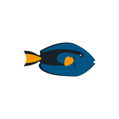 Isolated sea fish vector design