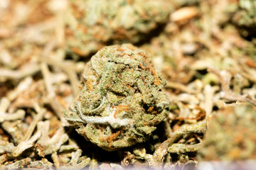Marihuana macro super lemon haze background fifty megapixels prints