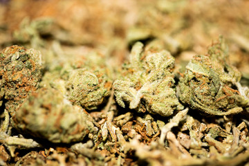 Marihuana macro super lemon haze background fifty megapixels prints