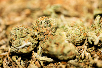 Marihuana macro super lemon haze background fifty megapixels prints