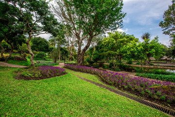 The natural background of the decoration of the park or the ornamental garden, the atmosphere is surrounded by many plants, for people to sit and relax while traveling.  B