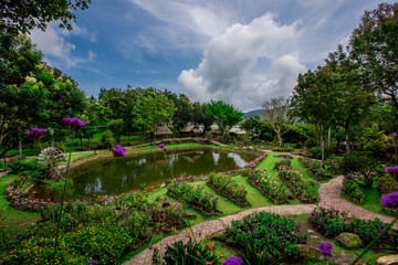 Fototapeta na wymiar The natural background of the decoration of the park or the ornamental garden, the atmosphere is surrounded by many plants, for people to sit and relax while traveling. B
