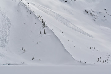 Snowshoeing in Joffre lakes provincial park