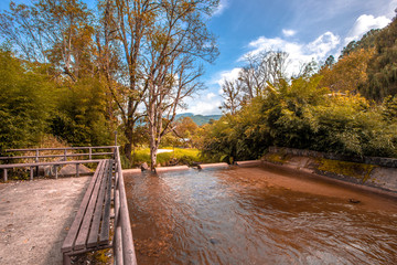 Close-up natural background from the park, with biking trails and surrounded by green trees, clear skies during the day, cool breeze blowing through  B