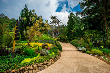 The natural background of the decoration of the park or the ornamental garden, the atmosphere is surrounded by many plants, for people to sit and relax while traveling.  B