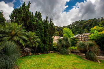 The natural background of the decoration of the park or the ornamental garden, the atmosphere is surrounded by many plants, for people to sit and relax while traveling.  B