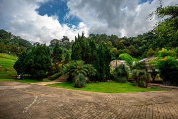 Queen Sirikit Botanical Garden- Chiang Mai:19September2019, atmosphere in the nursery of various garden plants(winter flowers Located Mae Rim District,a conservation and tourist attraction,Thailand