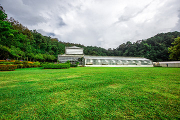 Queen Sirikit Botanical Garden- Chiang Mai:19September2019, atmosphere in the nursery of various garden plants(winter flowers Located Mae Rim District,a conservation and tourist attraction,Thailand