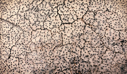 Texture of land dried up by drought, the ground cracks background with grunge