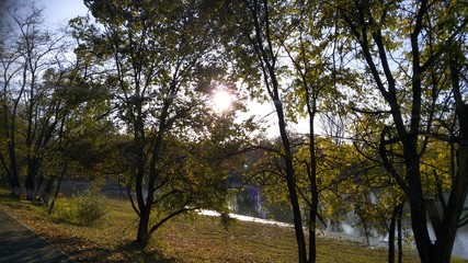 autumn in the park
