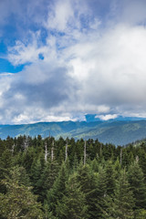 View from Clingmans Dome Observation Tower