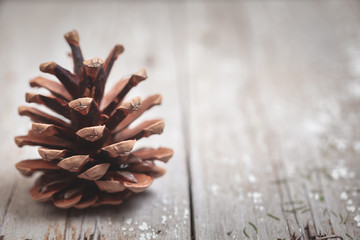 Pine Cone on a Rustic Wooden Background