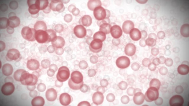 Microscopic microbiology health care red blood cells in motion pattern on a white background